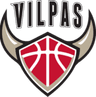 Salon Vilpas logo