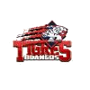 UMAD logo - Mexico Abe League Umad Vs Anahuac Xalapa Basketball Result