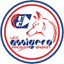 Assigeco Banca Popolare logo