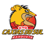 Caxias do Sul Basquete Recreio da Juventude U22 logo
