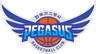Daegu KOGAS Pegasus logo