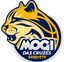 Mogi das Cruzes U19 logo