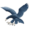 Ateneo Blue Eagles logo - Live Philippines Uaap Feu Tamaraws Vs Ateneo Blue Eagles
