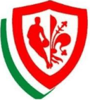 Pino Bk Firenze U19 logo - Italy National U Division Robur Et Fides Varese U Vs Pino Bk Firenze U Live Score