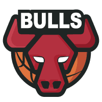 Chicago Bulls logo