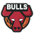 Chicago Bulls logo