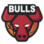 Chicago Bulls logo