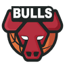 Chicago Bulls logo