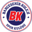 Bahcesehir Koleji logo