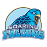 ADU Falcons logo - Live Pffvc Up Fighting Maroons Vs Adu Falcons