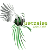Quetzales Women logo - Mexico Liga Abc W Quetzales Women Vs Aztks Del Estado De Mexico Women Results