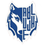 Basket Joacaba logo