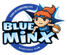 Samsunglife Blueminx logo