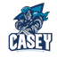 Casey Cavaliers logo