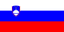 Slovenia U17 Women logo