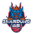 Shandong Heroes Reserves logo