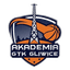 GTK Gliwice U19 logo