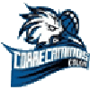 Correcaminos De Colon Women logo - Mexico Lnbpfw Freseras Irapuato Women Vs Correcaminos De Colon Women Sport