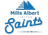 Wellington Saints logo