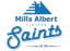 Wellington Saints logo