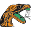 Florida A and M logo