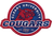 cleary logo
