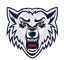 BK Wolves Radotin logo