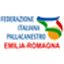 Faenza logo