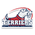 St. Francis(ILL) logo