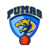 CD Pumas SAESA logo - Chile Liga Saesa Temuco Saesa Vs Cd Pumas Saesa Results