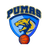 CD Pumas SAESA logo