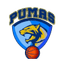 CD Pumas SAESA logo