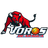 Toros de Aragua logo