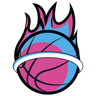 Miami Heat logo