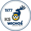 Jelenia Gora Women logo - Eblk Inea Azs Poznan Women Vs Jelenia Gora Women Live Basketball