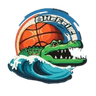Hefei Culture and Tourism Women's logo