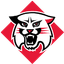 Davidson logo