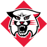 Davidson logo