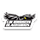 LIU Brooklyn Women logo