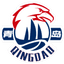 Qingdao Eagles Reserves logo