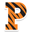 Princeton logo