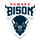 Howard Women logo