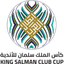 UAFA Club Cup logo - Uafa Club Cup 32262 Scores