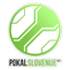 SLO Women's Cup logo