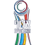 ISR Ligat Al Toto Cup logo