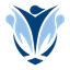 SCO Women's Premier League logo - Sco Womens Premier League 31927 Results