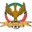 SKN Premier League logo - Skn Premier League 33219 Live