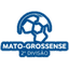 BRA Mato Division 2 logo