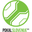 SLO Cup logo - Slo Cup 32097 Football Live Score