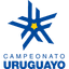 URU Primera Division logo